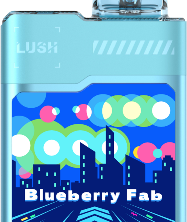 blueberry-fab__08837
